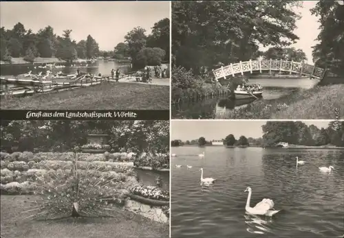 Ansichtskarte Wörlitz-Oranienbaum-Wörlitz Landschaftspark Wörlitz 1975