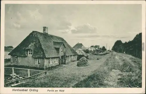 Ansichtskarte St. Peter-Ording Straßenpartie am Wald - Häuser 198 