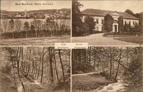 Buckow (Märkische Schweiz) 4 Bild: Schloß, Stadt und Umland 1925 