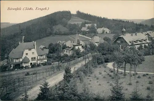 Bärenfels (Erzgebirge)-Altenberg (Erzgebirge) Straßenpartie - Villen 1913 