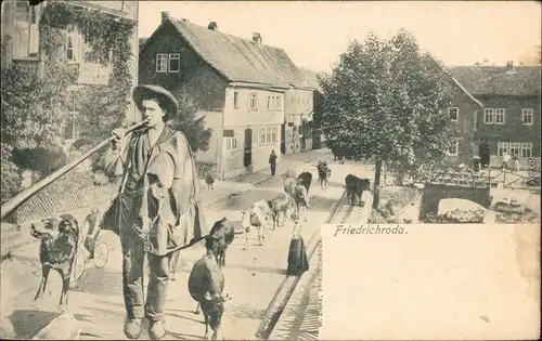 Ansichtskarte Friedrichroda Viehtrieb - Bauer - Straßenpartie 1909 