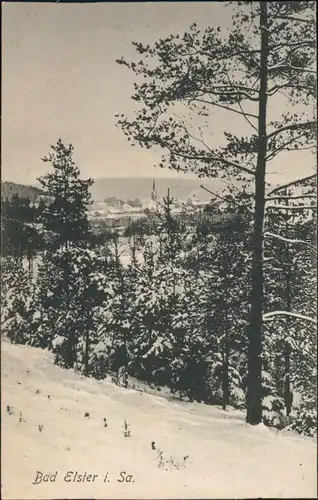 Ansichtskarte Bad Elster Winterpartie an der Stadt 1912