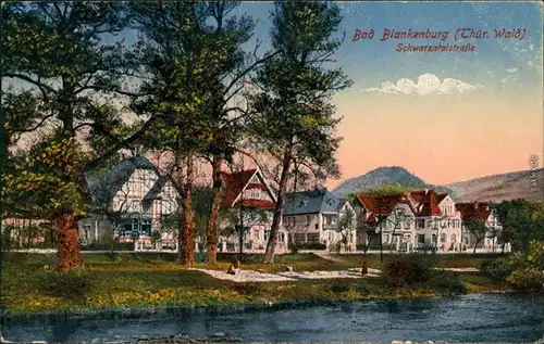 Ansichtskarte Bad Blankenburg Villen an der Schwarzatalstraße 1924 