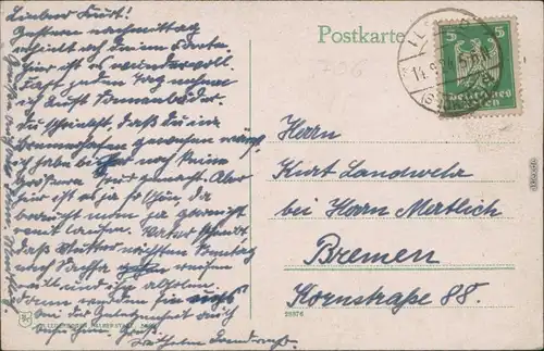Ansichtskarte Schierke Dorfstraße 1924