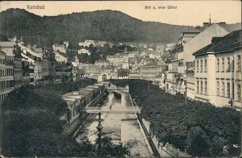 Ansichtskarte Karlsbad Karlovy Vary Alte und neue Wiese 1903