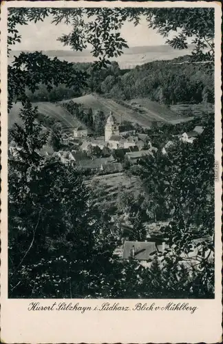 Ansichtskarte Sülzhagen Blick vom Mühlberg 1925