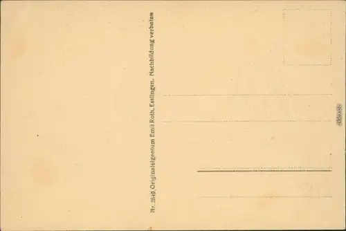 Ansichtskarte Bad Teinach-Zavelstein Partie beim Sanatorium 1910