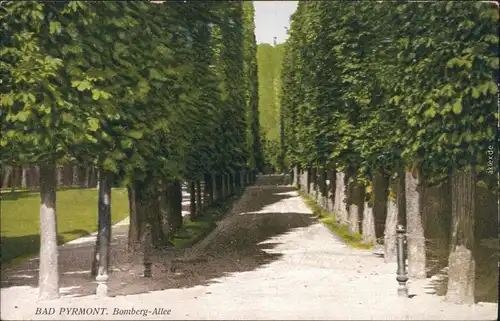 Ansichtskarte Bad Pyrmont Kurpark - Bomberg-Allee 1925