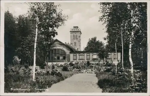 Ansichtskarte Bischofswerda Berggasthaus Butterberg 1937