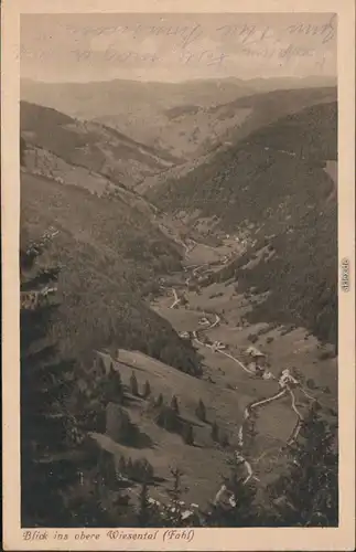 Ansichtskarte Feldberg Panorama-Ansicht - Blick ins Wiesenthal 1916