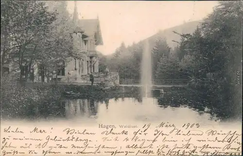 Ansichtskarte Hagen (Westfalen) Partie an der Waldlust 1903