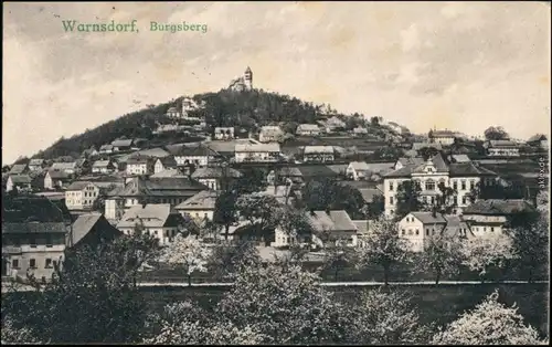 Warnsdorf Varnsdorf Villen, Straße am Burgbrg b Seifhennersdorf Tetschen 1918