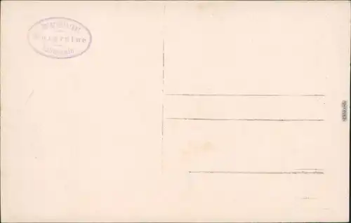 Tollenstein-Sankt Georgenthal Rozhled Jiřetín pod Jedlovou Partie  Ruine 1930