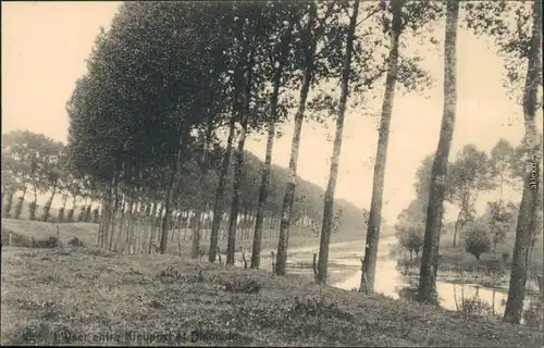 Ansichtskarte Nieuport Nieuwpoort Wald - Fluß Nieuport et Dixmude 1910 