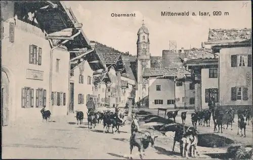 Ansichtskarte Mittenwald Zigen auf dem Obermarkt 1914 