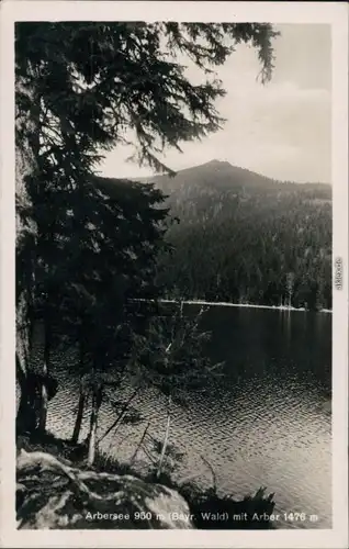 Ansichtskarte Bayerisch Eisenstein Arbersee 1933