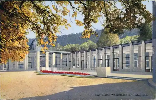 Ansichtskarte Bad Elster Wandelhalle mit Salquelle 1937 