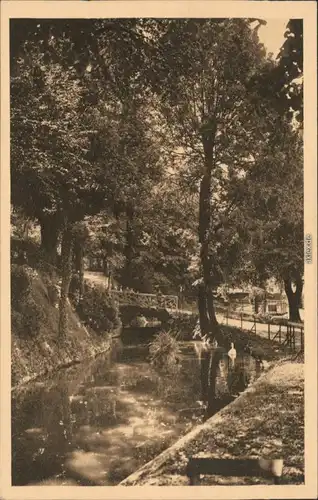 CPA Angouleme Le Jardin public 1926 