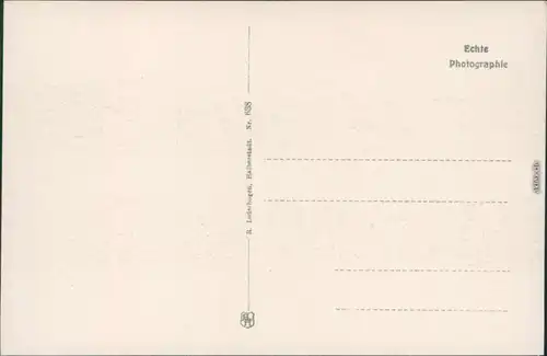 Ansichtskarte Halberstadt Dom 1930