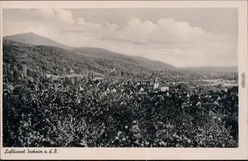 Ansichtskarte Seeheim-Jugenheim Panorama-Ansicht 1930