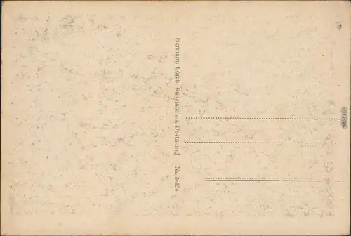 Ansichtskarte Siegen Oberes Schloss 1920