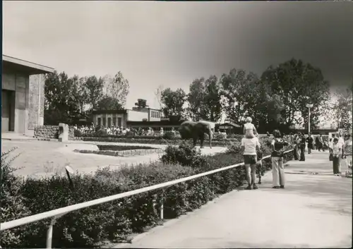 Königinhof an der Elbe Dvůr Králové nad Labem Der Safari-Zoo 1981