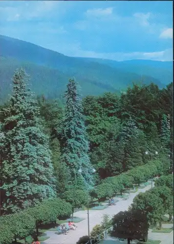 Ansichtskarte Bad Flinsberg Świeradów-Zdrój Panorama-Ansicht 1976
