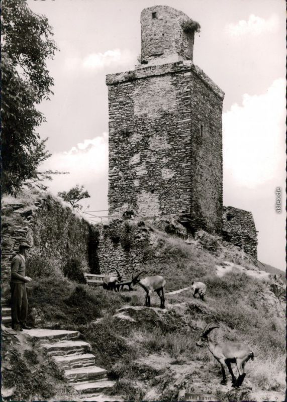 Ansichtskarte Königstein (Taunus) Burgruine Falkenstein 1965 Nr. 106976