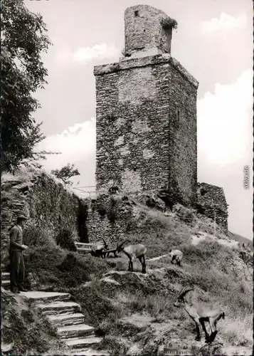 Ansichtskarte Königstein (Taunus) Burgruine Falkenstein 1965