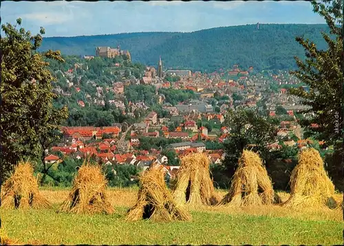 Ansichtskarte Marburg an der Lahn Panorama-Ansicht mit Schloss 1980