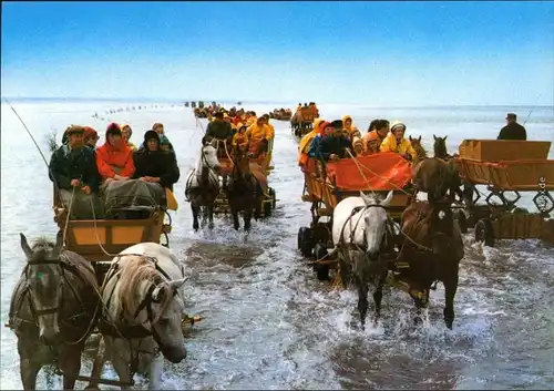 Ansichtskarte Duhnen-Cuxhaven Wattenfahrt mit Pferdekutschen 1975