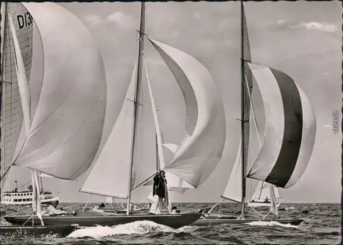 Ansichtskarte  Segelboote der Drachenklasse 1961