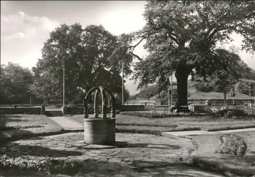 Ansichtskarte Lutherstadt Wittenberg An der Luthereiche 1981