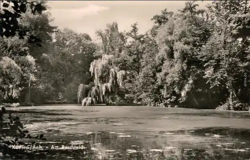 Ansichtskarte Köthen Am Buschteich 1965 