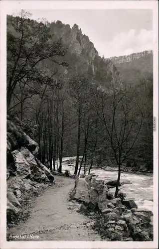 Ansichtskarte Treseburg Weg im Bodetal 1954 