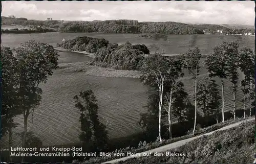 Ansichtskarte Gremsmühlen-Malente Blick vom Holm auf den Dieksee 1964 