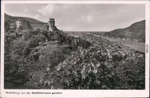 Ansichtskarte Heidelberg Panorama-Ansicht von Scheffelterrasse 1953