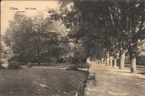 Ansichtskarte Zittau Straßenpartie im Park 1923 