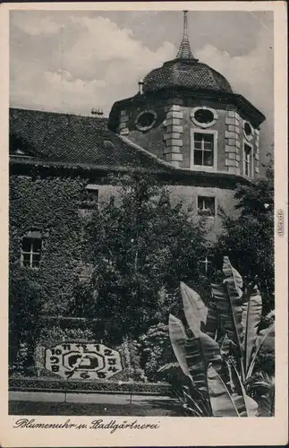 Ansichtskarte Zittau Blumenuhr - Stadtgärtnerei 1928 