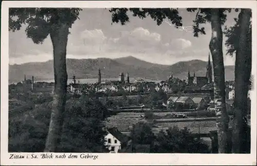 Ansichtskarte Zittau Blick zur Stadt 1953 