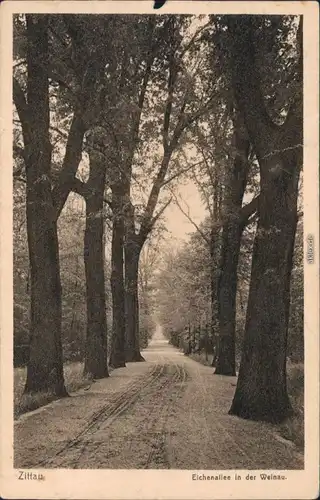 Ansichtskarte Zittau Eichenallee in der Weinau 1922 