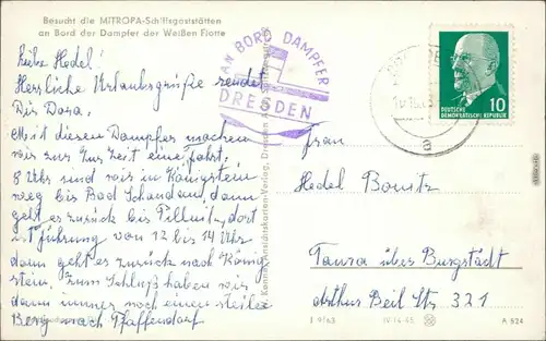 Ansichtskarte Bad Schandau Dampfer Dresden - Stadt 1963 