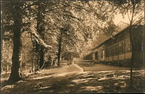 Ansichtskarte Einbeck Restauration Teichen 1907 