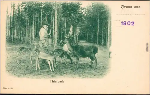 Ansichtskarte Sassnitz Saßnitz Rehkids und Elch - Tierpark, Jäger 1902 
