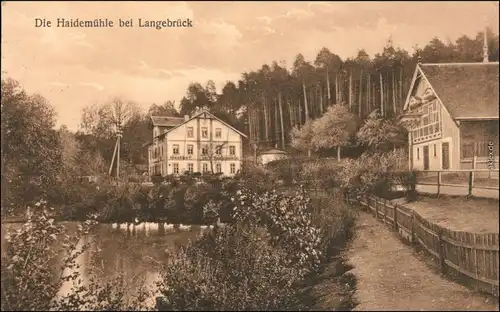 Ansichtskarte Langebrück-Dresden Partie an der Haidemühle 1914 