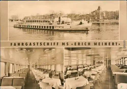 Ansichtskarte  Elbdampfer MS "Erich Weinert" 1966