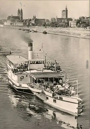 Ansichtskarte Magdeburg Weiße Flotte Magdeburg - Dampfer "Hermes" g1966