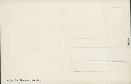 Ansichtskarte Triberg im Schwarzwald Panorama-Ansicht vom Hohnen 1925