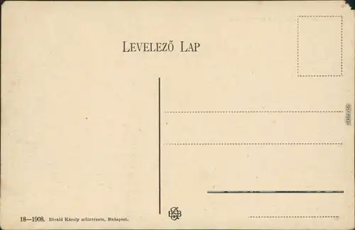 Ansichtskarte Budapest Panorama-Ansicht mit Brücke, Dom 1908