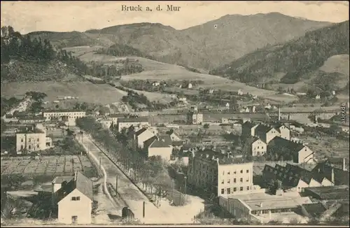 Ansichtskarte Bruck an der Mur Stadt, Fabrik - Straße 1913 